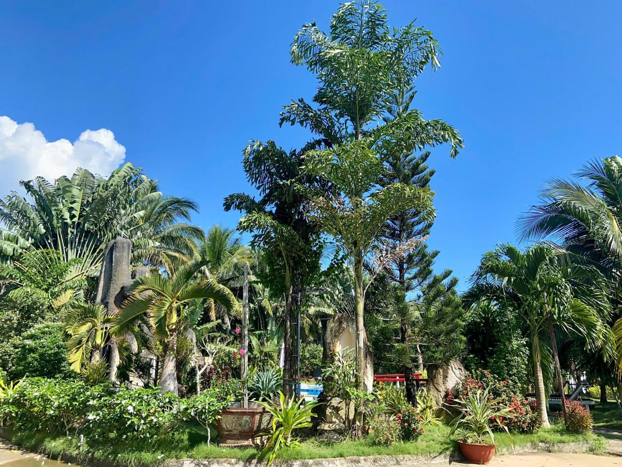 Y Nghia Bungalow Ong Lang Фу Куок Екстериор снимка