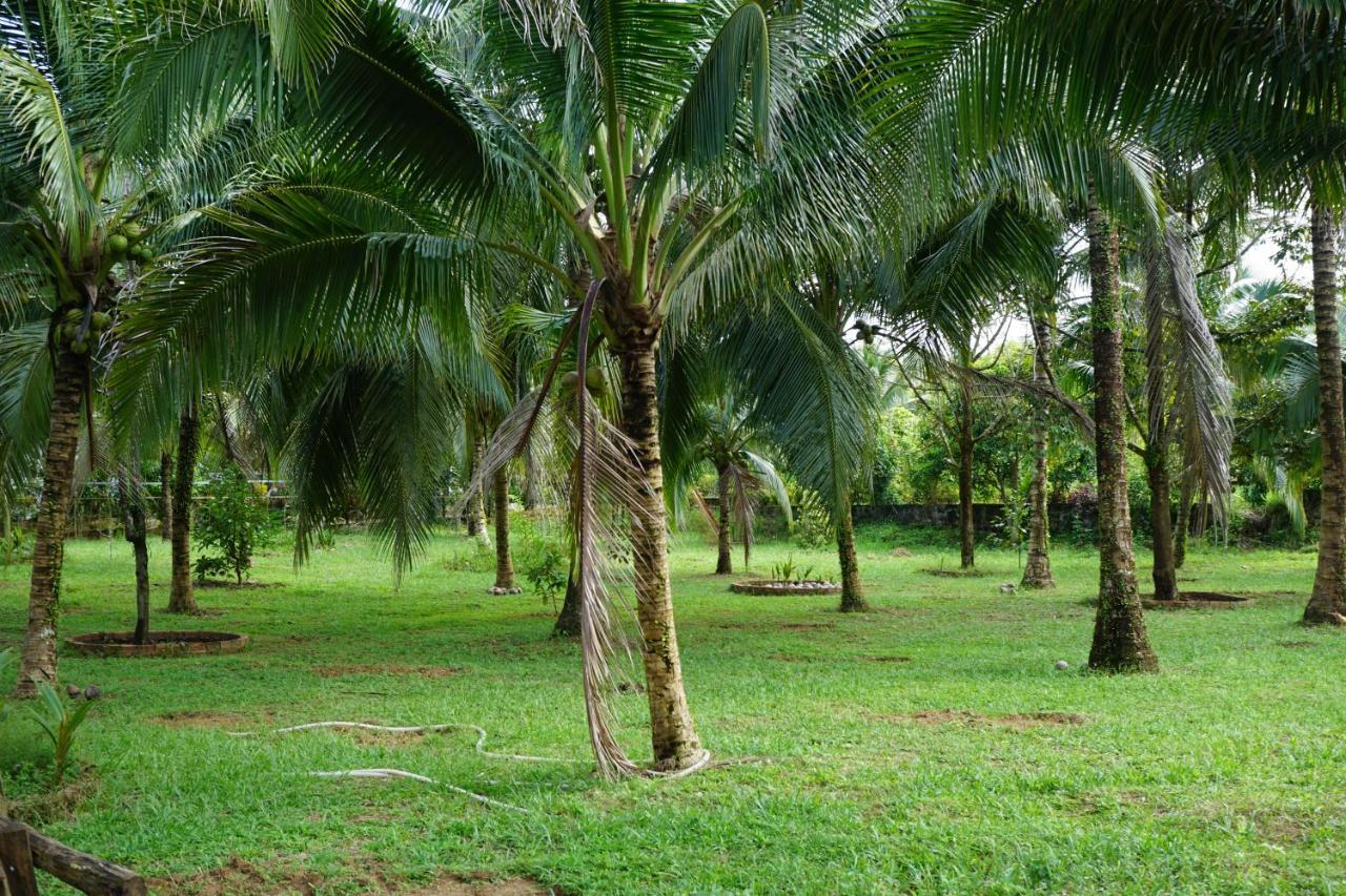 Y Nghia Bungalow Ong Lang Фу Куок Екстериор снимка